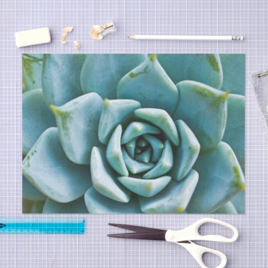 Papier Mousseline Closeup Succulent (Artisanat)