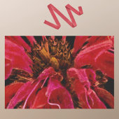 Papier Mousseline Closeuse de la fleur de l'abeille rouge vive