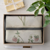 Papier Mousseline Clover rouge par Jacques de Morgues (Cadeau)