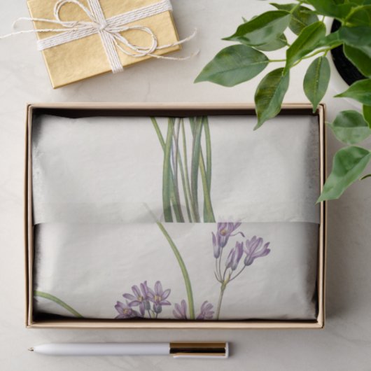 Papier Mousseline Clusterlily par Mary Vaux Walcott (Cadeau)