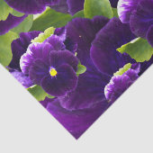 Papier Mousseline Clusters de Pansy Profond Violet : Beauté majestue (Détail)