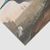 Papier Mousseline coastal Audobon blue heron Tissue Paper (Détail)
