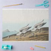 Papier Mousseline coastal audobon sanderling gulls tissue paper (Artisanat)