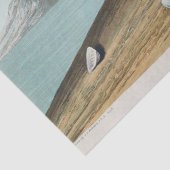 Papier Mousseline coastal audobon sanderling gulls tissue paper (Détail)