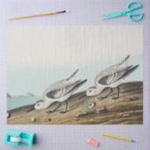Papier Mousseline coastal audobon sanderling gulls tissue paper (Artisanat)