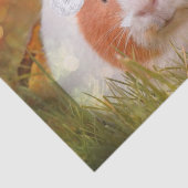 Papier Mousseline cobaye mignon de Noël (Détail)