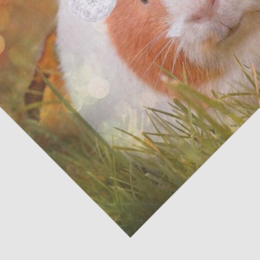 Papier Mousseline cobaye mignon de Noël (Détail)