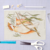 Papier Mousseline Cockatoo (Artisanat)