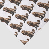 Papier Mousseline Cocker (Détail)