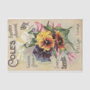 Papier Mousseline Cole's Garden Annuel 1897 Fleurs Catalogue Vintage