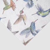 Papier Mousseline Colibri (Détail)