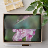 Papier Mousseline Colibri à gorge rubis - Photo originale (Cadeau)