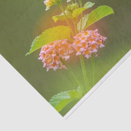 Papier Mousseline Colibri Avec Fleurs Papier Tissu (Détail)