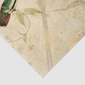 Papier Mousseline Colibri élégant (Détail)