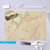 Papier Mousseline Colibri élégant (Artisanat)