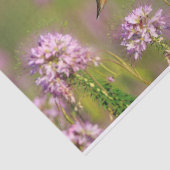 Papier Mousseline Colibri et fleurs sauvages (Détail)