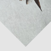 Papier Mousseline colibri (i) (Détail)