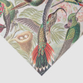 Papier Mousseline Colibri, Trochilidae Kolibris par Ernst Haeckel (Détail)