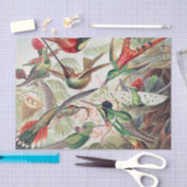 Papier Mousseline Colibri, Trochilidae Kolibris par Ernst Haeckel (Artisanat)