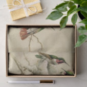 Papier Mousseline Colibris colorés avec nid, Hector Giacomelli (Cadeau)