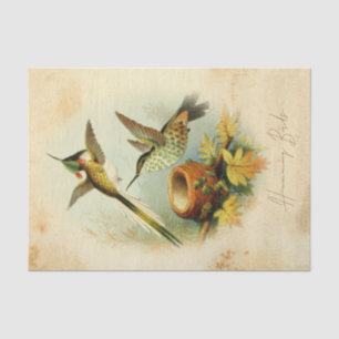 Papier Mousseline Colibris élégants