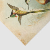 Papier Mousseline Colibris élégants (Détail)