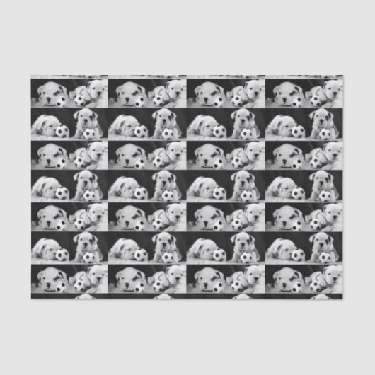 Papier Mousseline Collage anglais de bouledogue "de chiots du (Recto)