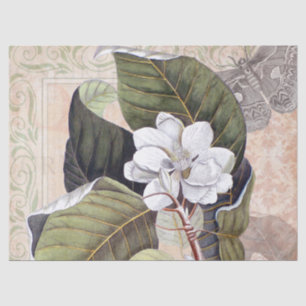 Papier Mousseline Collage botanique vintage avec Magnolia blanche