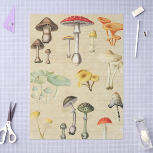 Papier Mousseline Collage de champignons (Artisanat)