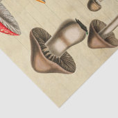 Papier Mousseline Collage de champignons (Détail)