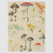 Papier Mousseline Collage de champignons (Recto)