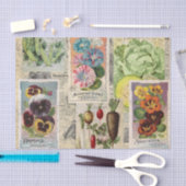 Papier Mousseline Collage de paquets de semences (Artisanat)