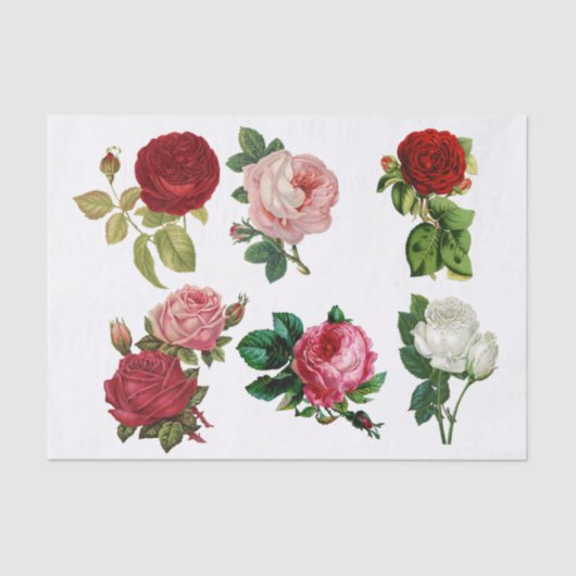Papier Mousseline Collage de Roses (Recto)