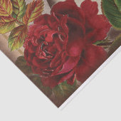 Papier Mousseline Collage d'Ephemera Vintage Shabby Chic Decoupage (Détail)