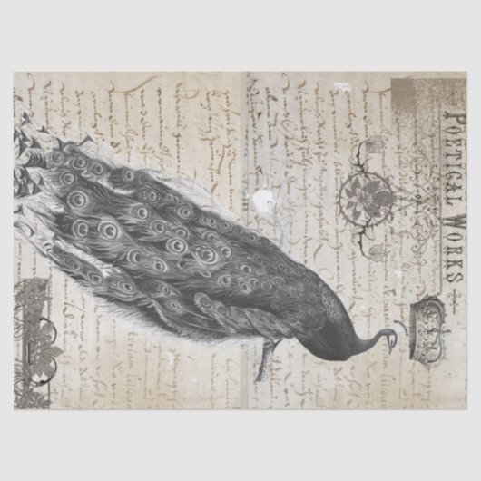 Papier Mousseline Collage d'éphémères de paon (Recto)