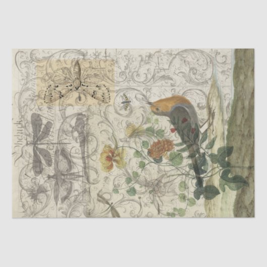 Papier Mousseline Collage d'oiseau (Recto)