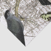 Papier Mousseline Collage d'oiseau (Détail)