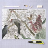 Papier Mousseline Collage d'oiseau (Artisanat)