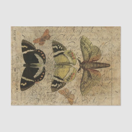 Papier Mousseline Collage No.501 d'insecte (Recto)