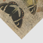 Papier Mousseline Collage No.501 d'insecte (Détail)