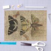 Papier Mousseline Collage No.501 d'insecte (Artisanat)