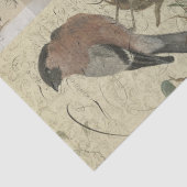 Papier Mousseline Collages Vintages d'oiseaux (Détail)