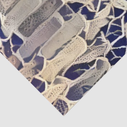 Papier Mousseline Collection d'art de mur dentelé (Détail)