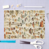 Papier Mousseline Collection de champignons Papier de tissus (Artisanat)