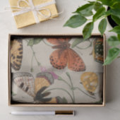 Papier Mousseline Collection de la papillon Moth Nature Dessin (Cadeau)