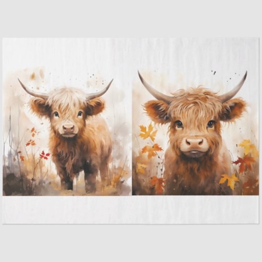 Papier Mousseline Collection Design de vaches Highland 1 (Recto)