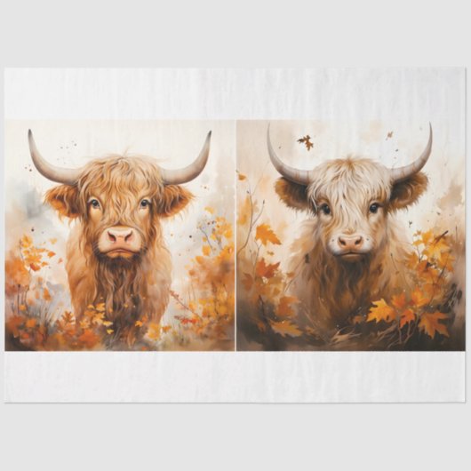 Papier Mousseline Collection Design de vaches Highland 2 (Recto)