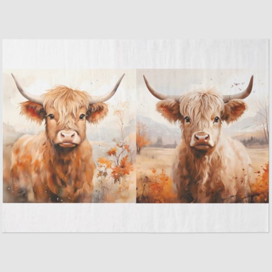 Papier Mousseline Collection Design de vaches Highland 3 (Recto)