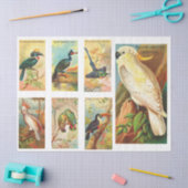 Papier Mousseline Collection d'oiseaux Cockatoo 1 Découpage Vintage  (Artisanat)