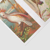 Papier Mousseline Collection d'oiseaux Cockatoo 1 Découpage Vintage (Détail)